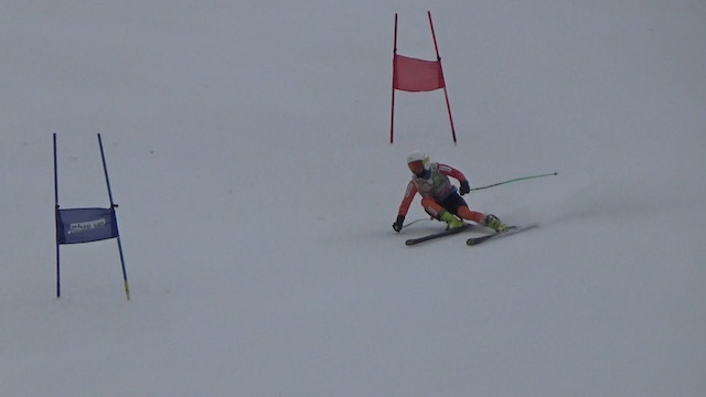 ジャイアントスラローム(GS - Giant Slalom) | plus up racing ski